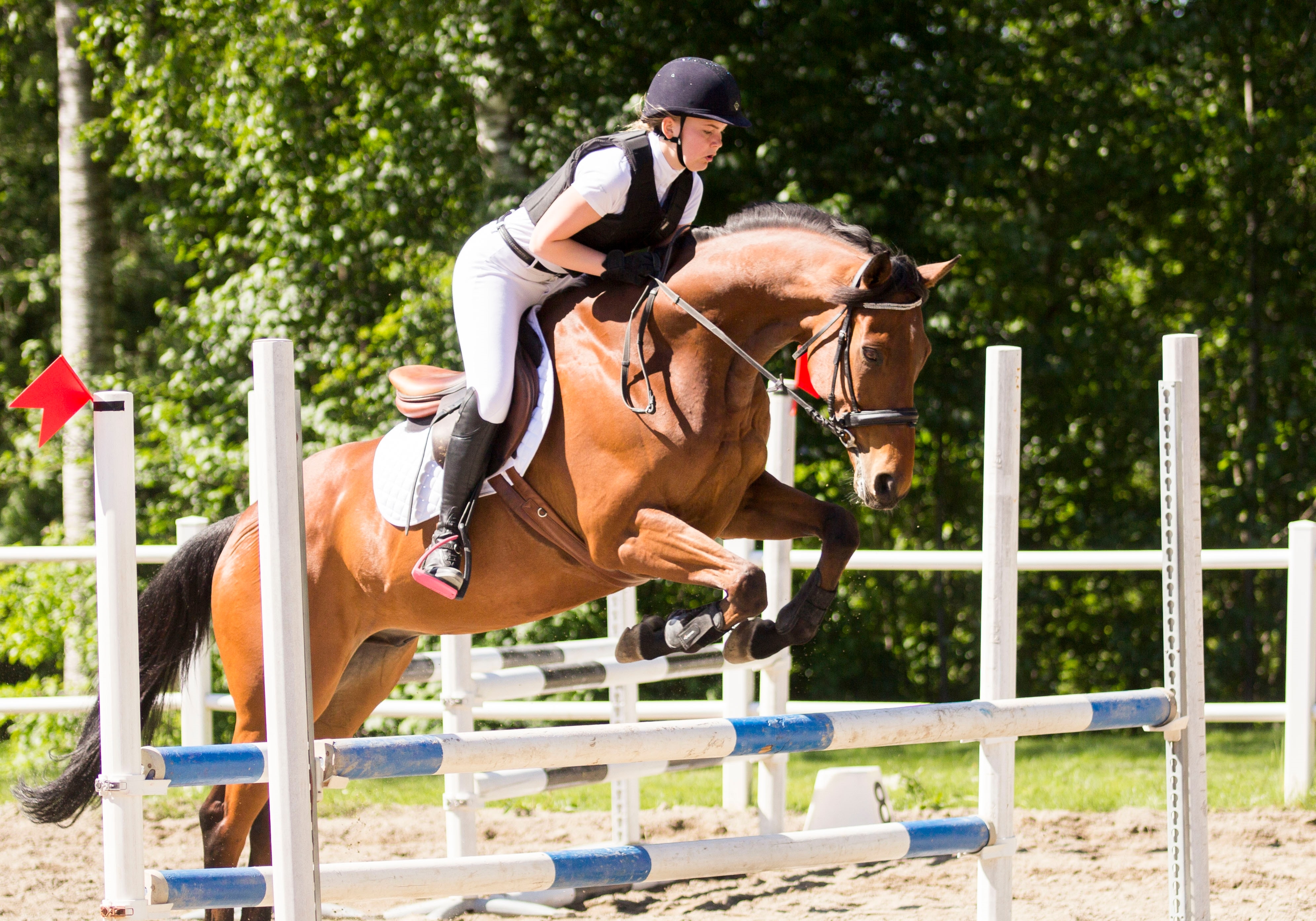 Oppdaterte datoer for sesongens sprangtimer